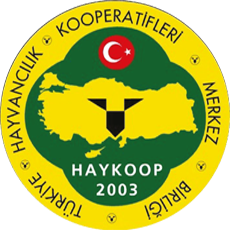 logo_018