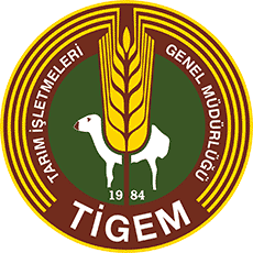 tigem